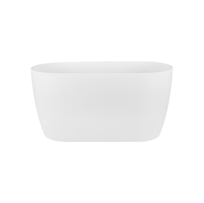 brussels orchidee duo 25cm weiss